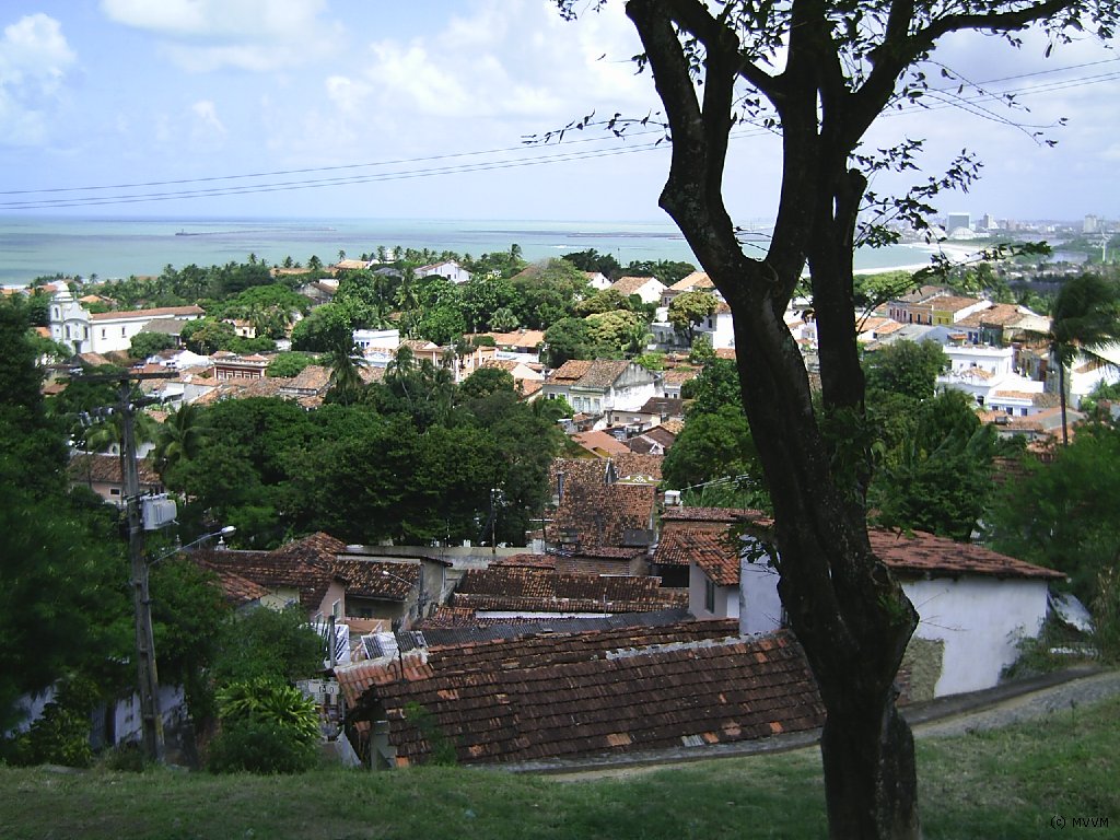 "Oh, pretty / O, mooi
       Olinda!"