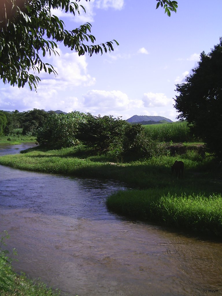 Scenery with Brook /
       Landschap met beek