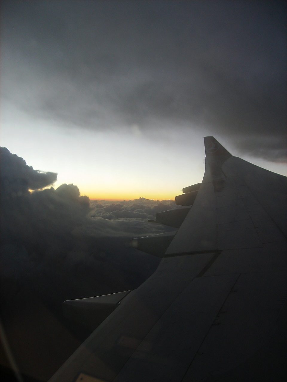 On the Flight Back / Op die terugvlug